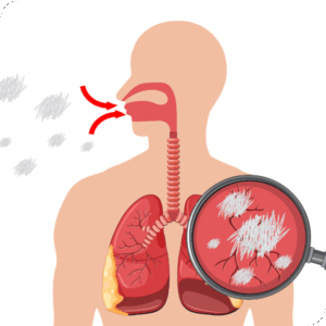 Asbest Module 1 Basismodule asbestherkenning
